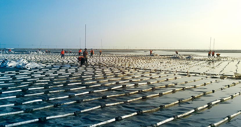 欧亚国际(中国区)·官方网站